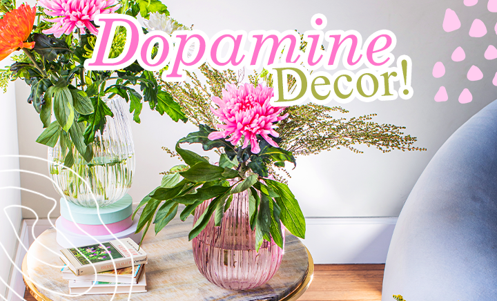 Dopamine Home Decor